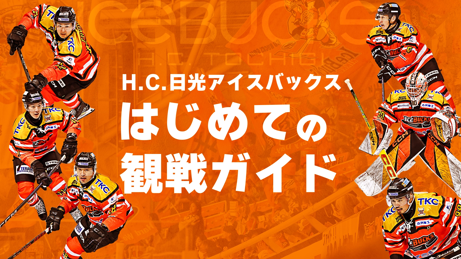 H.C.栃木日光アイスバックス　はじめての観戦ガイド